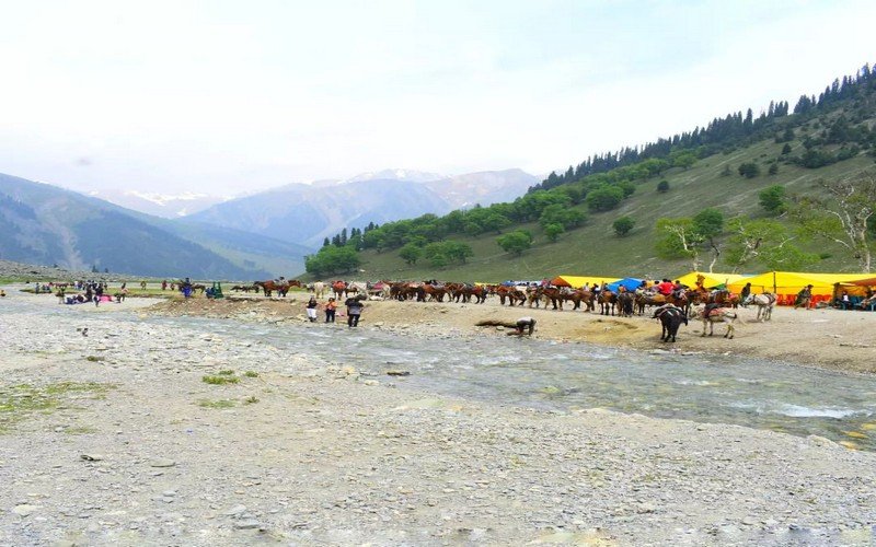 Sonmarg