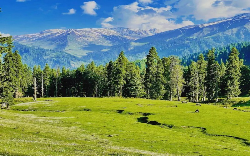 Gulmarg Tour Package From Rajkot