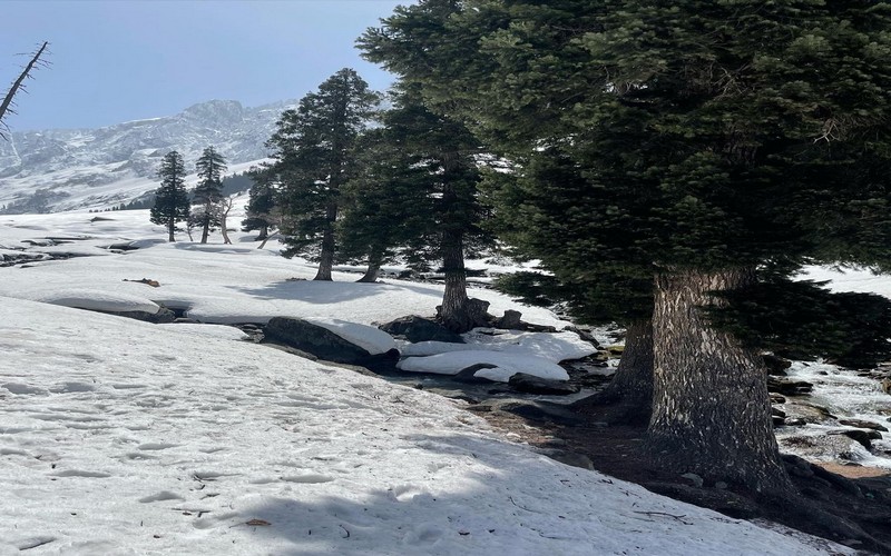Sonmarg Tour Package From Delhi
