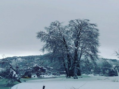Kashmir Family Tour Packages From Delhi Kashmir Family Tour Packages From Delhi