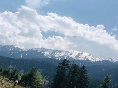 Kashmir Family Tour Packages From Hyderabad Kashmir Family Tour Packages From Hyderabad