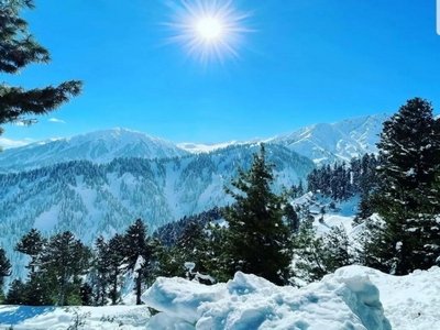 Srinagar Tour Package From Nagpur Srinagar Tour Package From Nagpur
